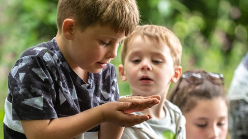 Two small children look at a bug